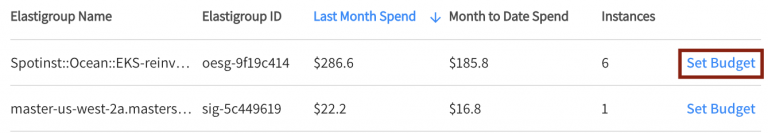 Set Budget