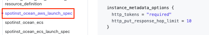 terraform-instance-metadata-vng-options-screenshot